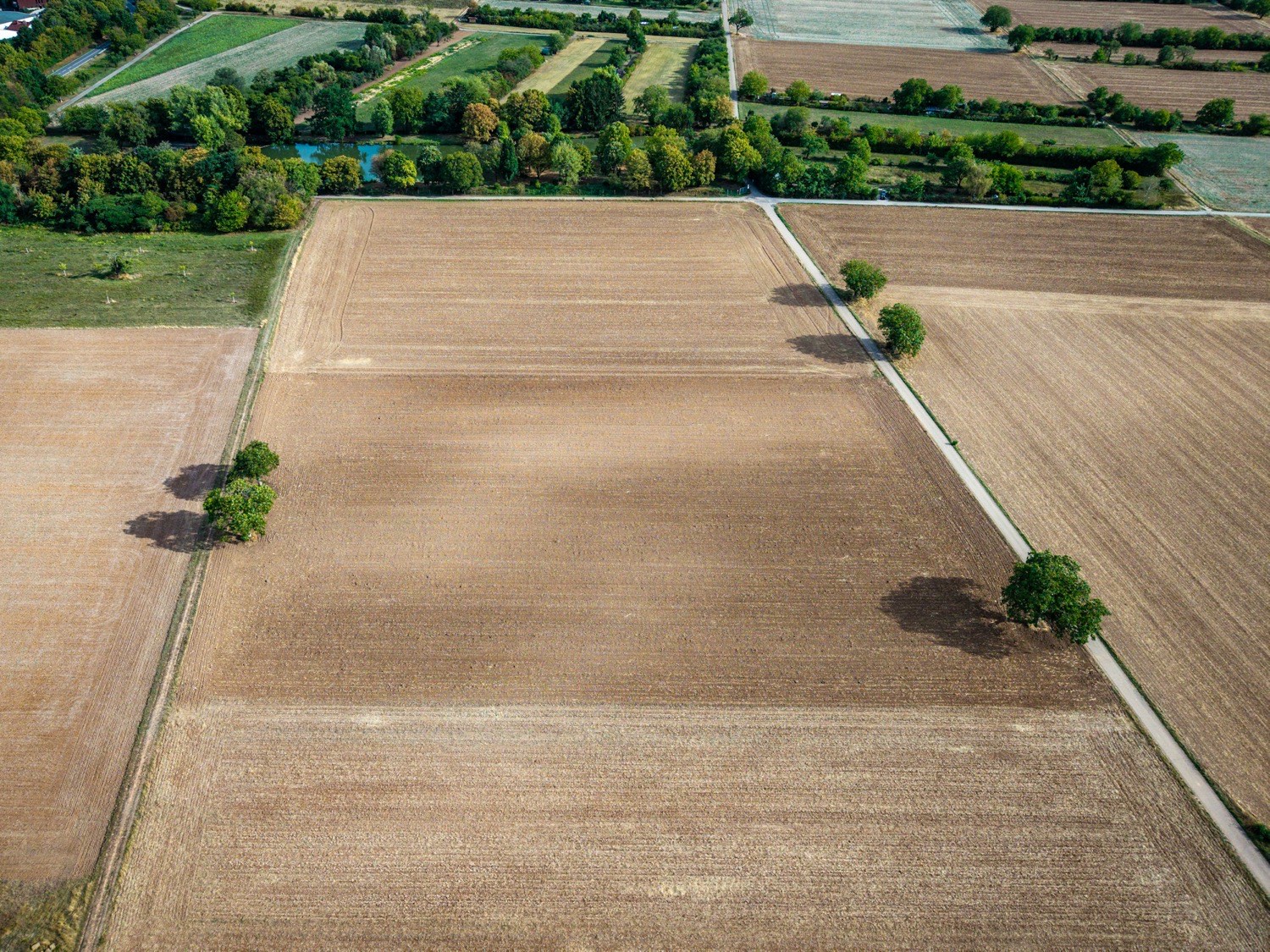 Section roads crossing open ranch land